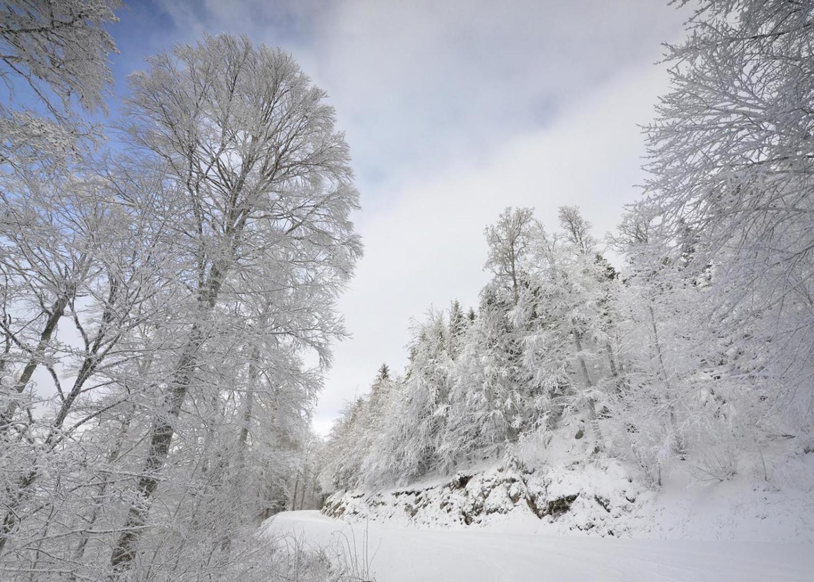 Villa Gite Face Au Vercors Marches Exterior foto